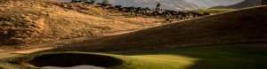The-Hill-golf-wolves
