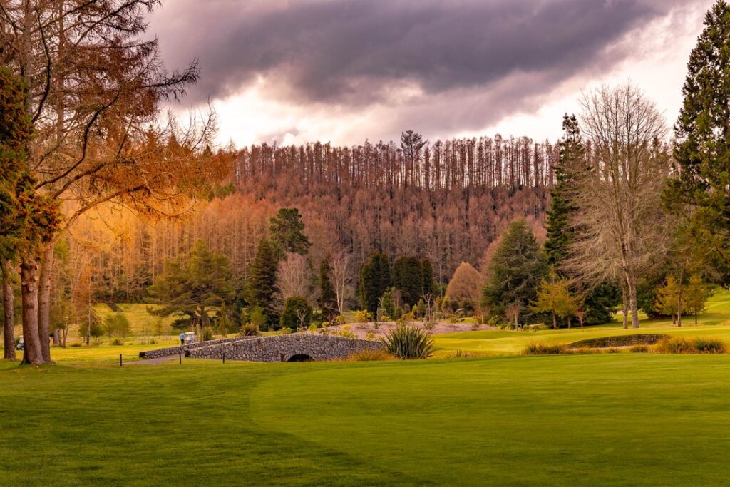 Wairakei Golf Course New Zealand Accommodation
